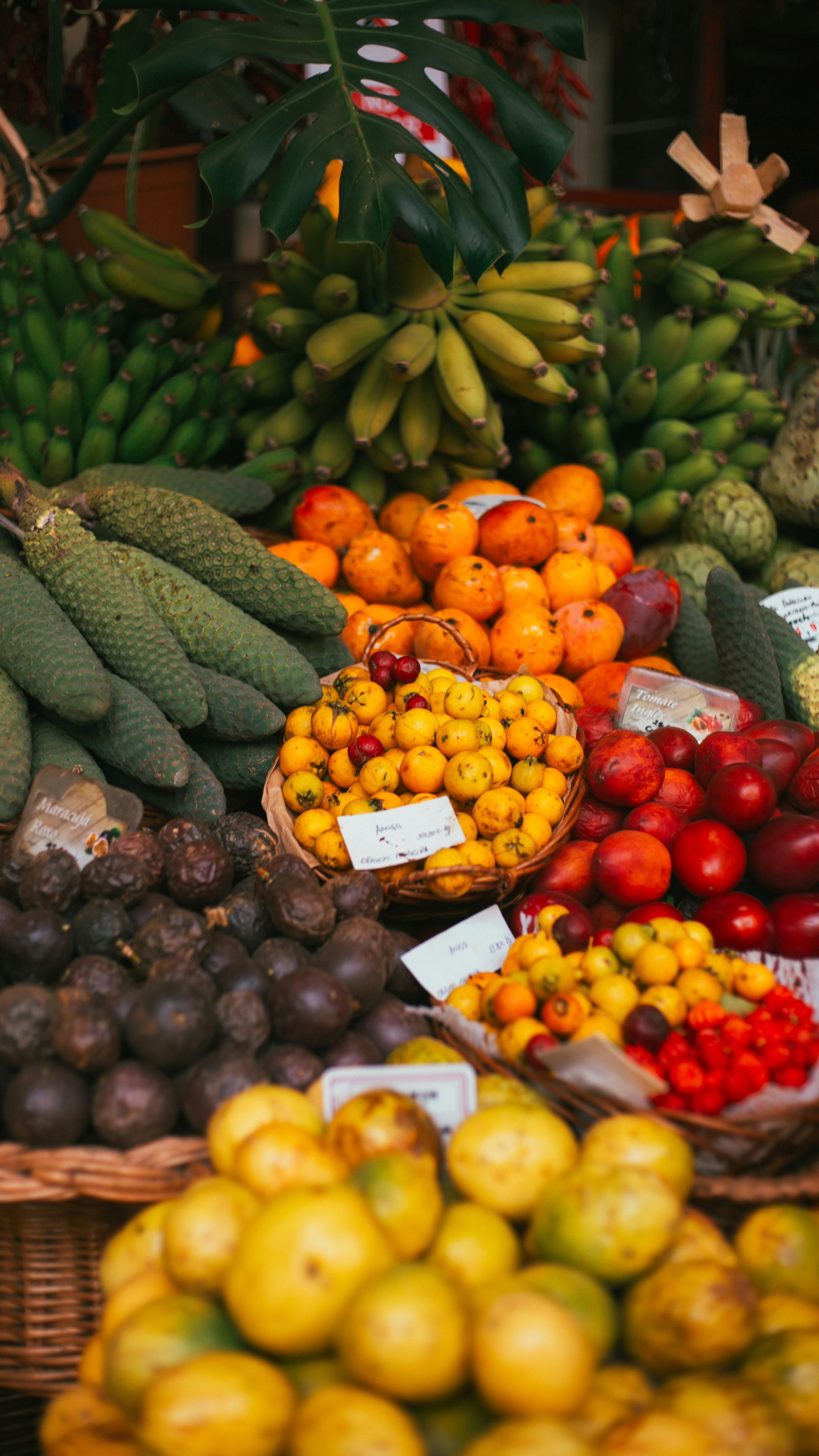 A variety of healthy foods including fruits, vegetables, and grains