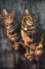 Tiger Stripes