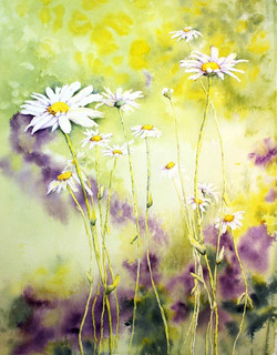 Sharon Burke