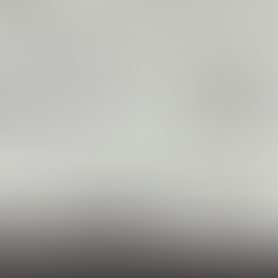 Dealer Add-Ons Breakdown