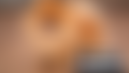 szpic miniaturowy pomeranian