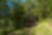 M_BellesCabanes-VialaduTarn-2025©CamilleVerschaeveOfficedeTourismeMuseRaspesduTarn-18.jpg