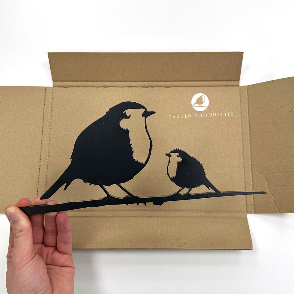 Thumbnail: Robin with chick box scale