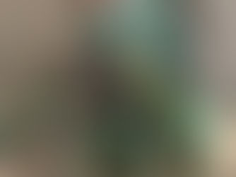 For the Plant Parent Who’s Just Raw Dogging It