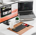 Two Computer Screens