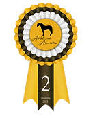 Stallions-2-2021.png