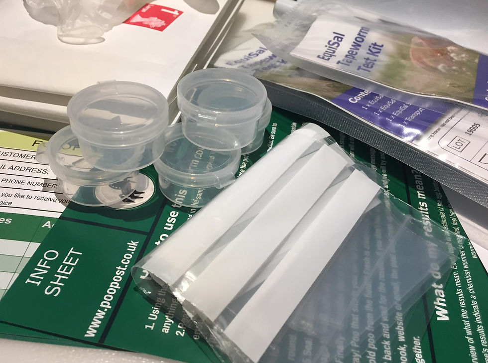 Thumbnail: Equine Year Kit PLUS