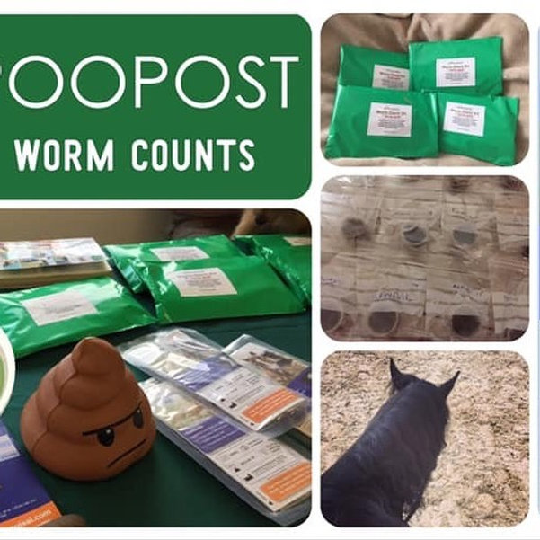 2 Equine worm count kit POOPOST