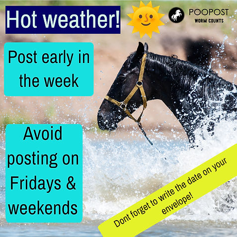 hotweatherhorse.jpg