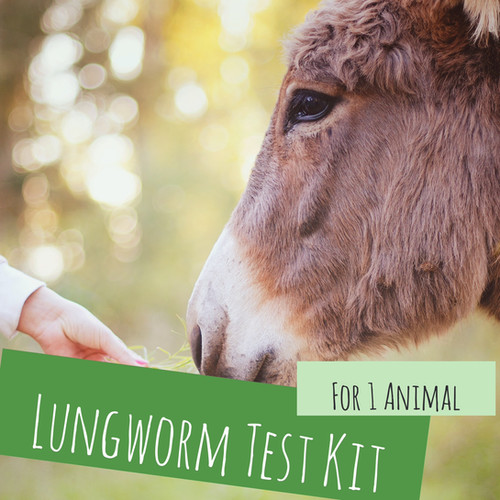 Lungworm Test Kit POOPOST