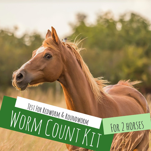 Worm Count Kit For 2 Horses POOPOST