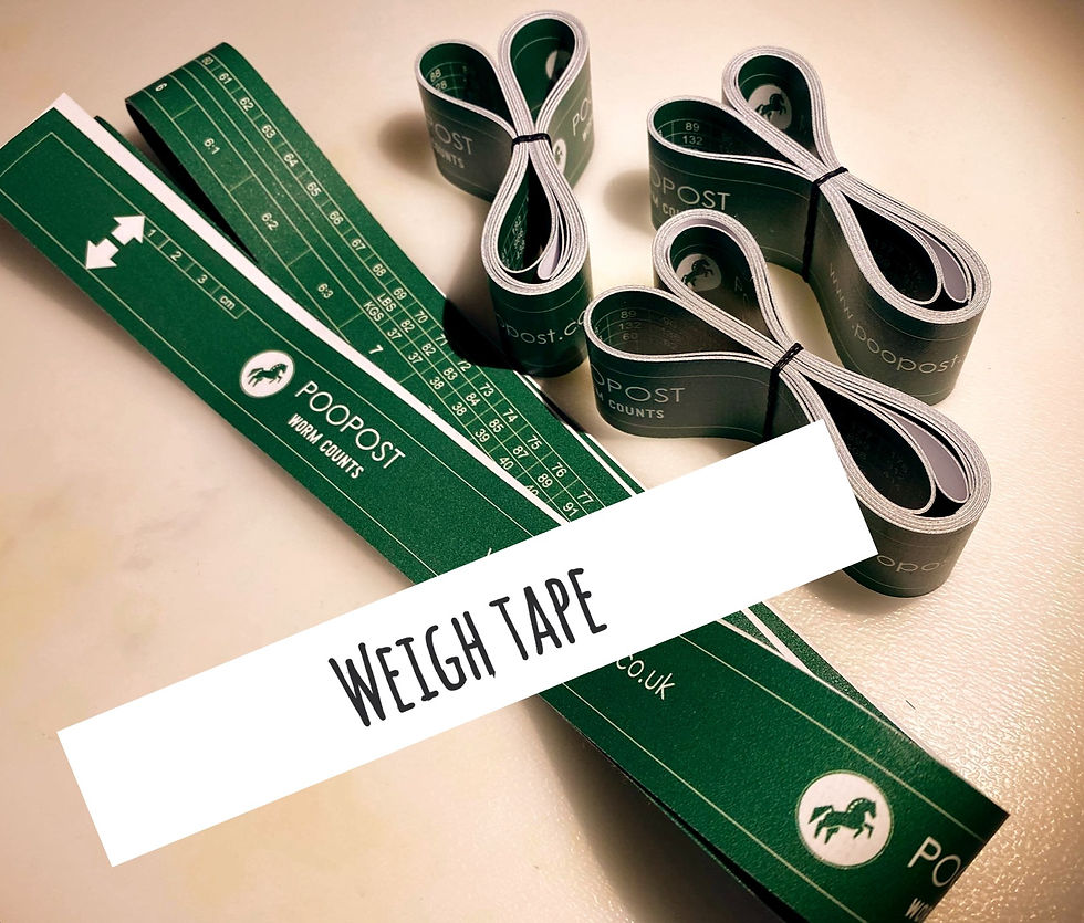 Thumbnail: Worm Count Kit for 1 Equine