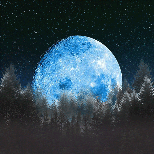 moonspin.gif