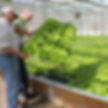 Fresh Point Growers