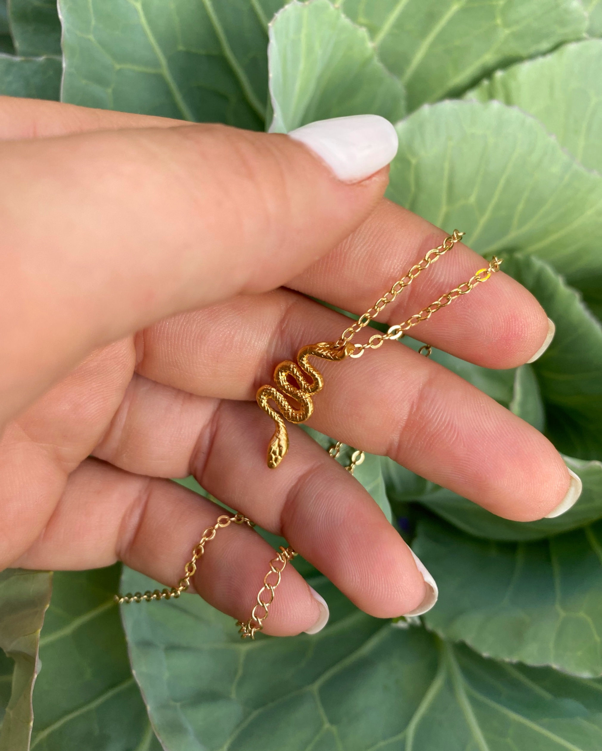 שרשרת אכידנה