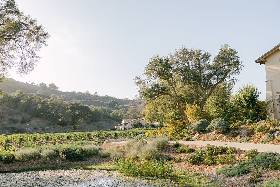 California Wedding Coordinator