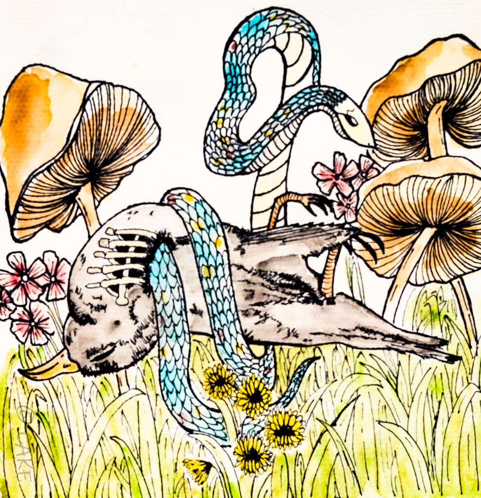 Mixed Media/Hybrid Art