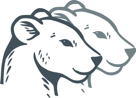 Double Lion Head Colour-100