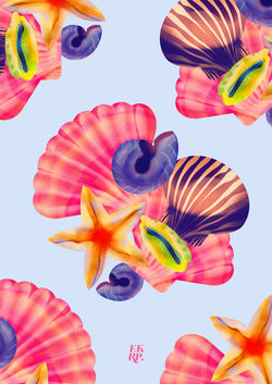 Mix sea shells