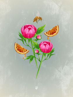 Peonies