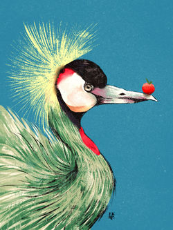 Lady crane