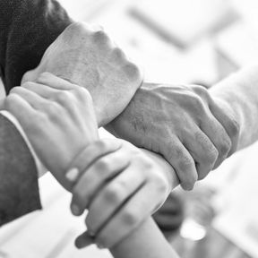 Taking a Holistic View of Cybercrime