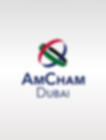 AmCham Partner of Crimson Founders.jpg