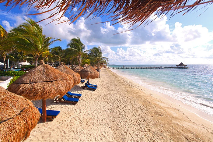 Desire Resorts Represented By Amg Representation Desire Pearl Beach