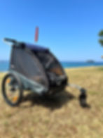 Thule Coaster XT - Carretto per bici per bambini