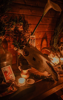 candlelit altar with horse skulls, stones, and foraged plants