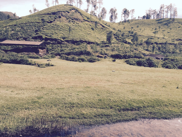 Munnar, Kerala