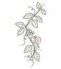 grimpantes.png