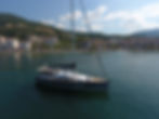 Toruk_cinarccik2