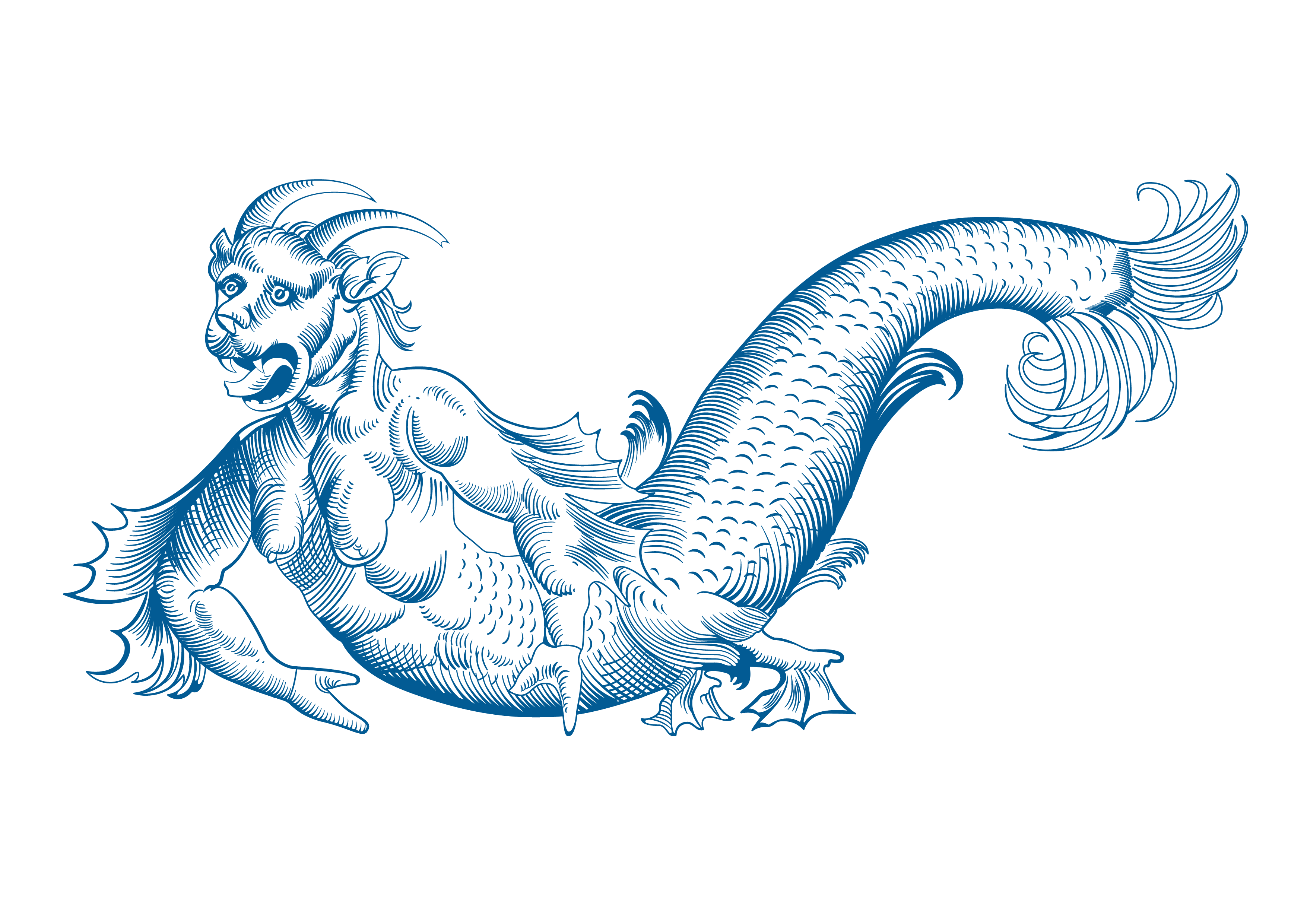 FA_vectorizacion_03 azul.png