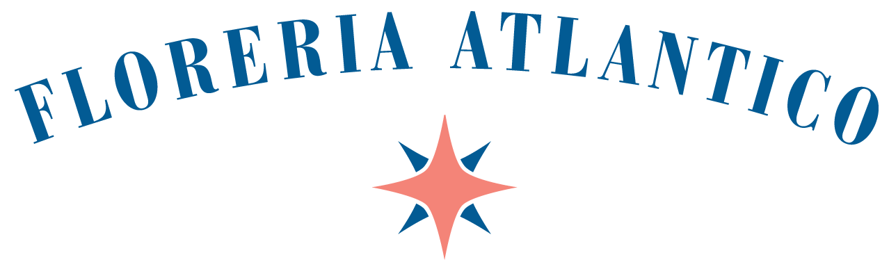 FA-BCN_Logo-color blue.png