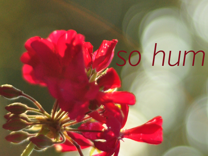 Humming Meditation