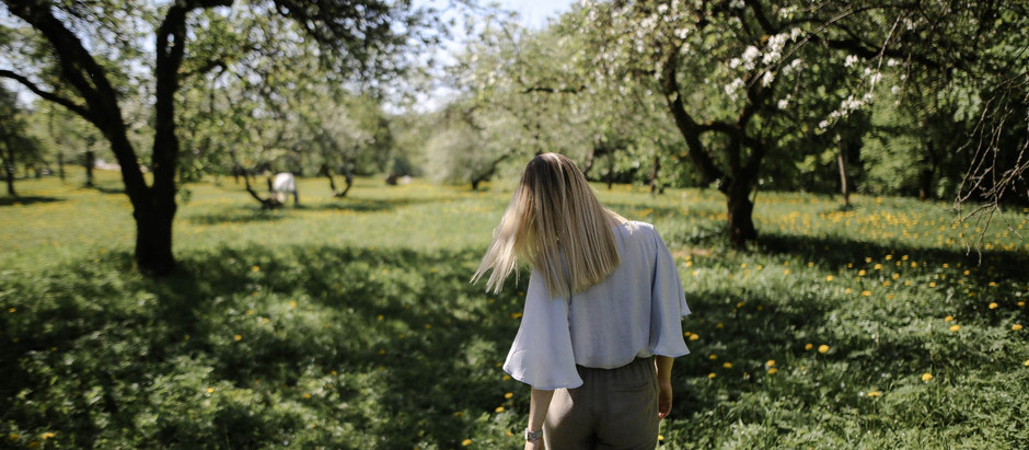 Spring Into EDCI