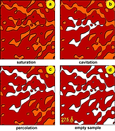 scientific reports.webp