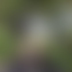 From Trails to Tides: Outdoor Fun Near Oak Ridge Estates