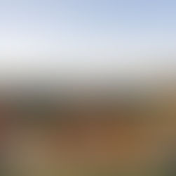 Sip & Savor the Central Coast Wine Country