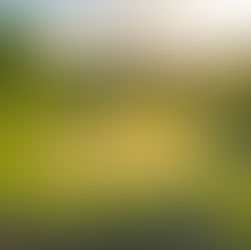 Central Coast Golfer's Paradise