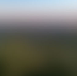 Why Buy a Home in Oak Ridge Estates?     The Ultimate Guide to Luxury Living in Atascadero