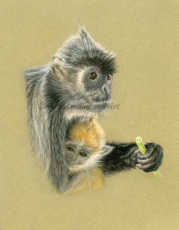 Anna Monkey and baby FINAL cleaned up copyright watermark.jpg