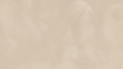 Image-empty-state_edited.png