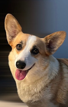 Charlotte 5.jpg