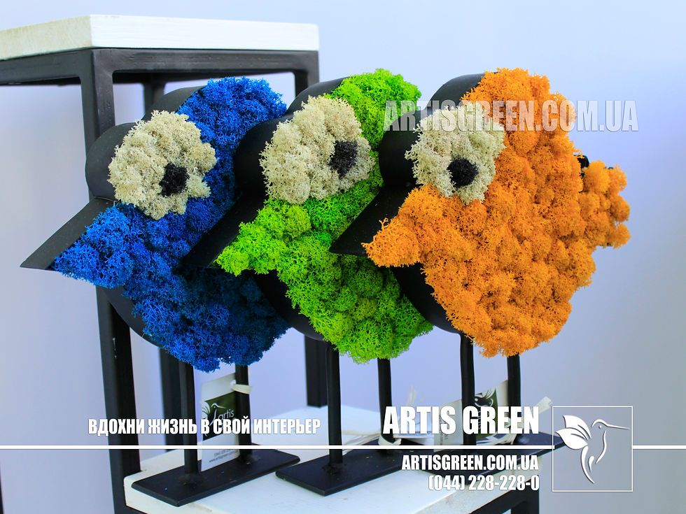 Композиція «Курча» зі стабілізованого моху