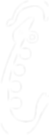 icoon - wit.png