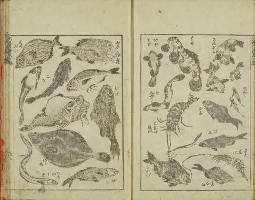 "Denshin kaishu Hokusai manga" présentant des gravures nishiki-e, encre et couleurs sur papier, de croquis de l'artiste Katsuschika Hokusai