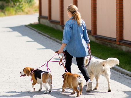 Top 10 Side Hustles for Teens: Turning Pocket Money into Profit