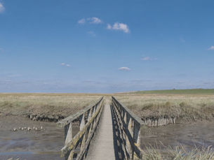 Ein Steg auf Wiese